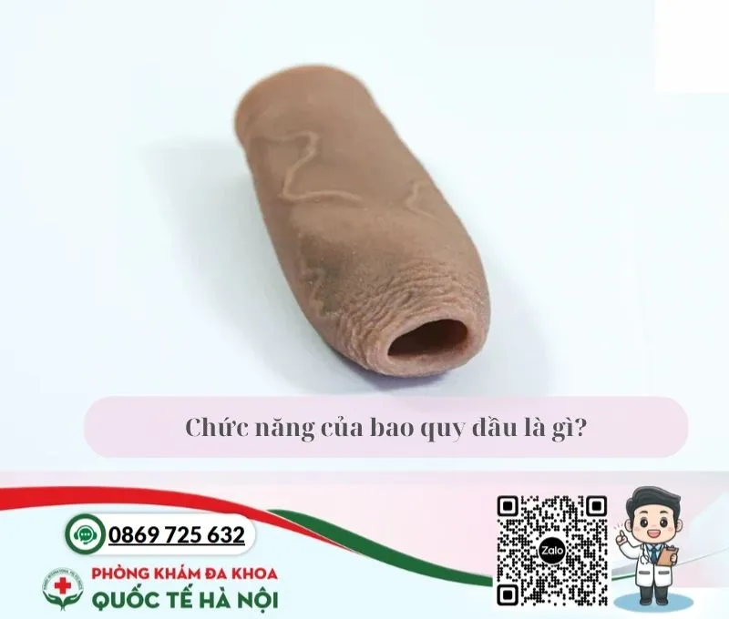 chức năng của bao quy đầu là gì