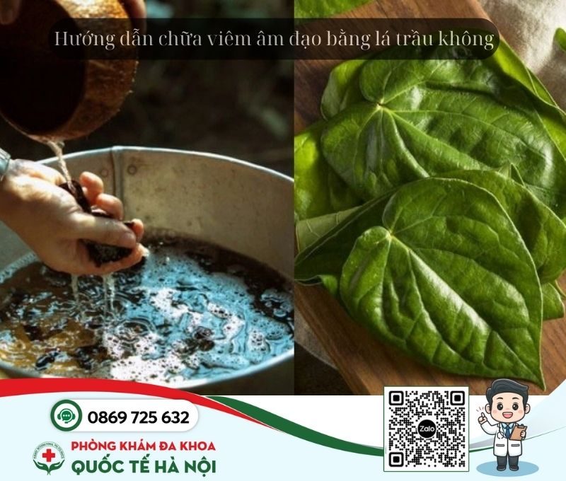 cách chữa viêm âm đạo bằng lá trầu không