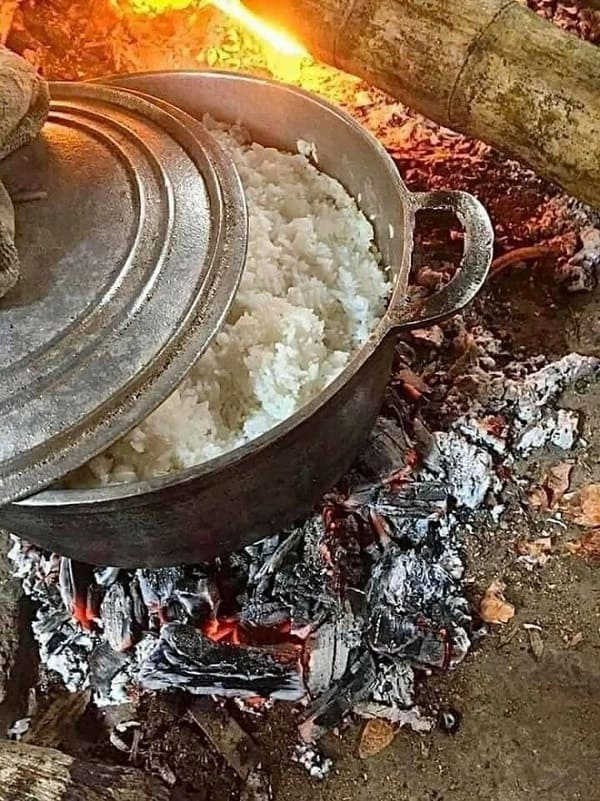 gạo nấu thành cơm là gì