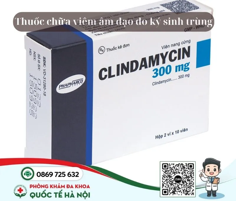 Thuốc chữa viêm âm đạo do ký sinh trùng