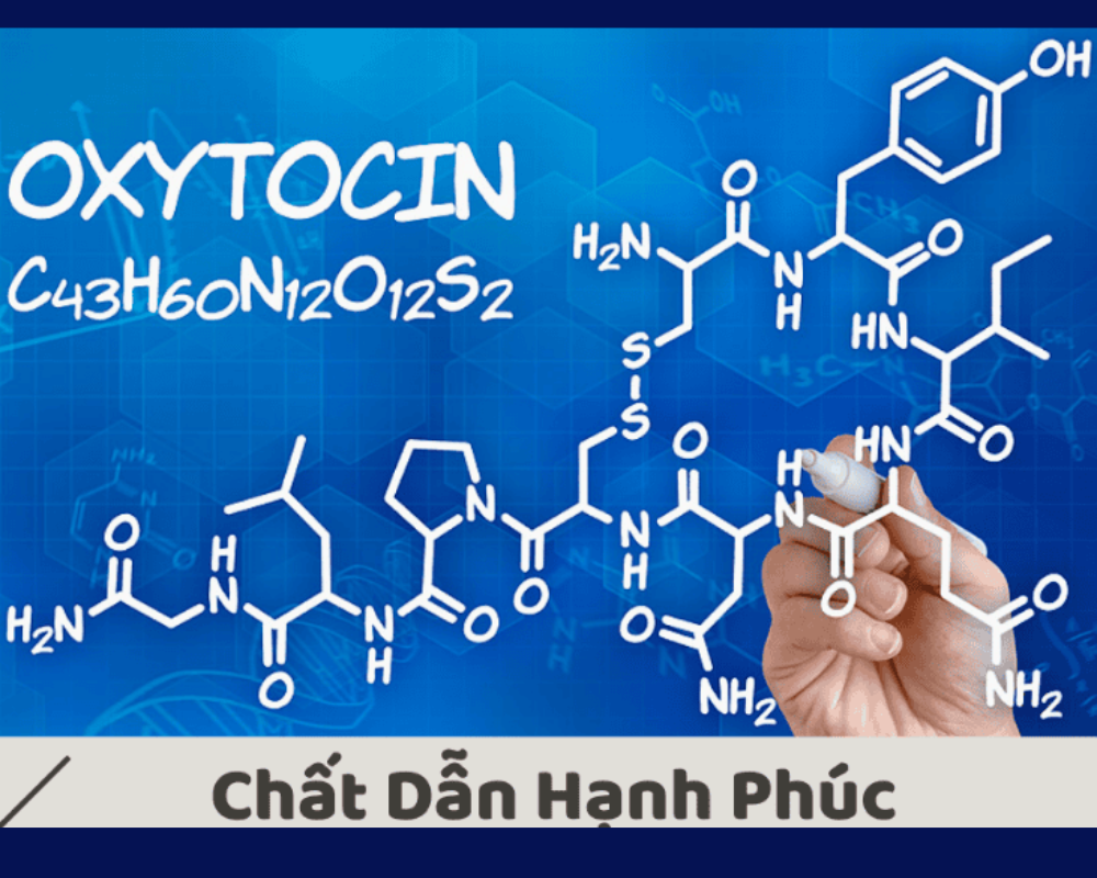 Hormone tình yêu là gì 1