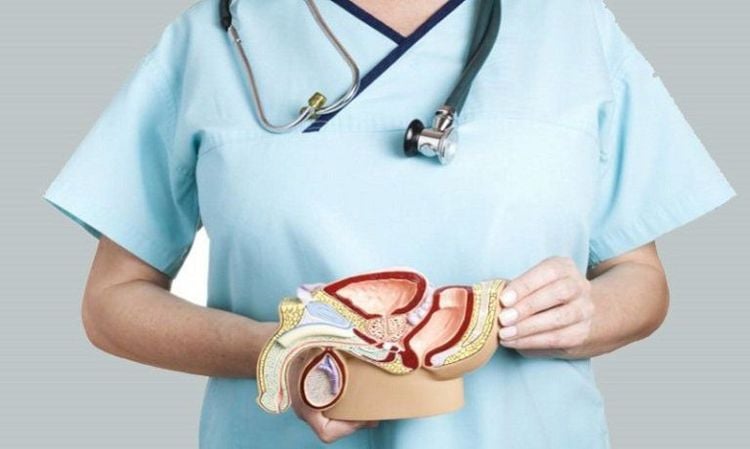 Vị trí tuyến tiền liệt nằm ở phía dưới bàng quang