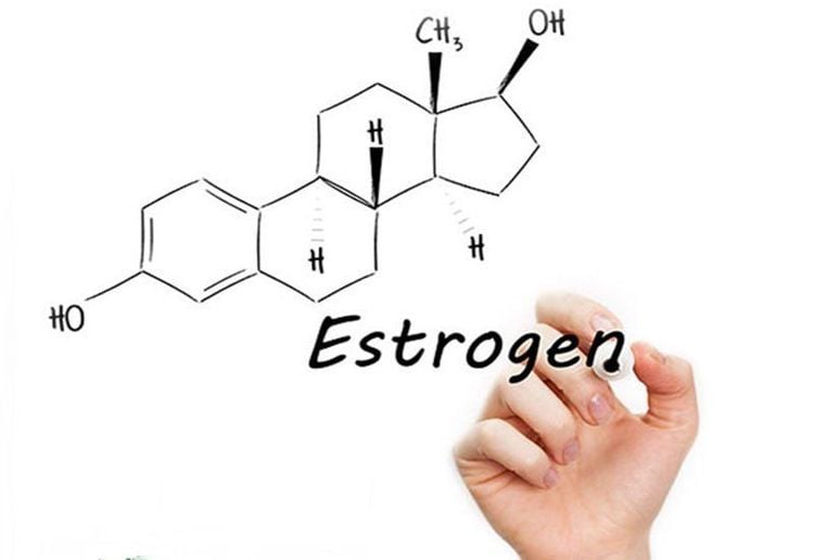 Sự tăng tiết hormone estrogen cũng là một nguyên nhân gây ra nhân xơ tử cung.