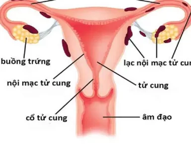 Phòng Khám Đa Khoa Quốc Tế Hà Nội