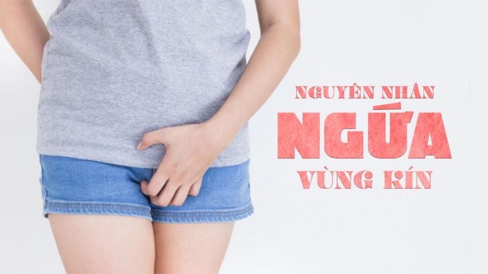 Có nhiều nguyên nhân khiến một người bị ngứa vùng kín nữ.