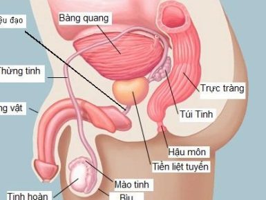 Phòng Khám Đa Khoa Quốc Tế Hà Nội