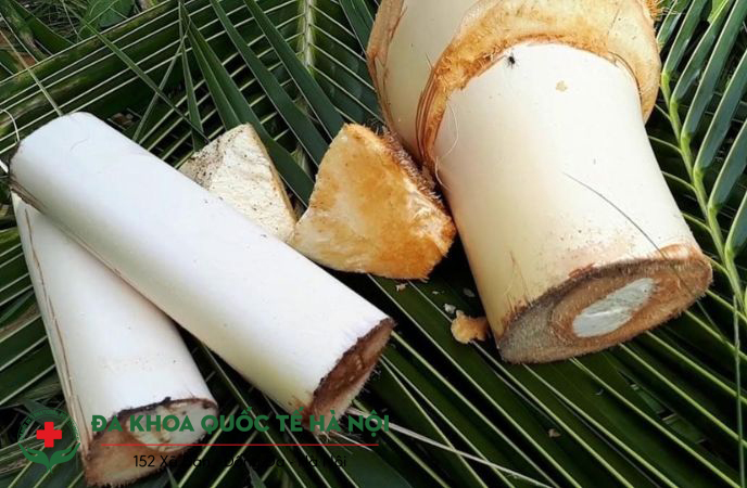 Củ hủ dừa kỵ với gì?