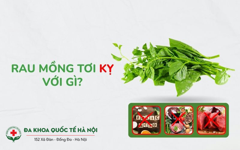Rau mồng tơi kỵ gì?