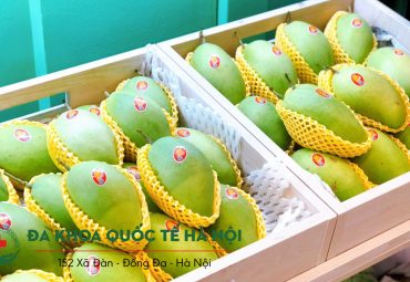 1-trai-xoai-cat-hoa-loc-bao-nhieu-calo