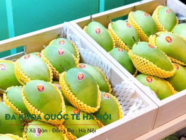 Phòng Khám Đa Khoa Quốc Tế Hà Nội