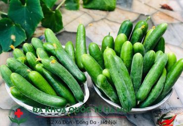 an-dua-chuot-bao-nhieu-la-du