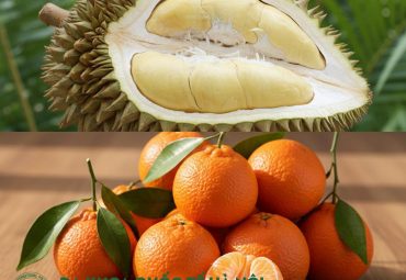 an-sau-rieng-voi-quyt-co-sao-khong